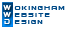 Small Business Website design & optimisation from Wokingham Website in Berkshire